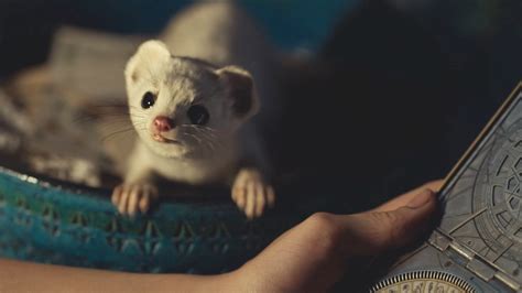 pantelimon his dark materials|Pantalaimon .